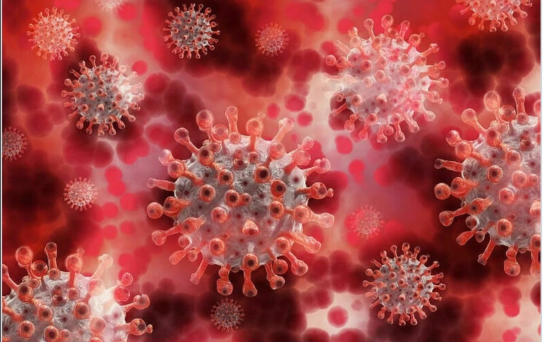 Когда закончится пандемия коронавируса в мире?