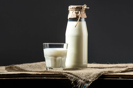 Что известно о создании антикоронавирусного молока?