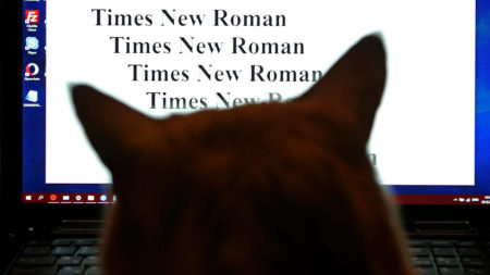Можно использовать Times New Roman и Arial после запрета?