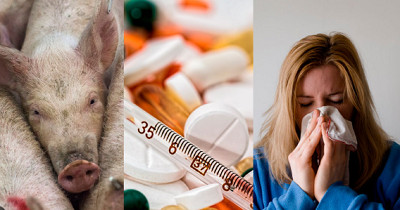 Реально ли избежать серьёзных осложнений при свином гриппе?