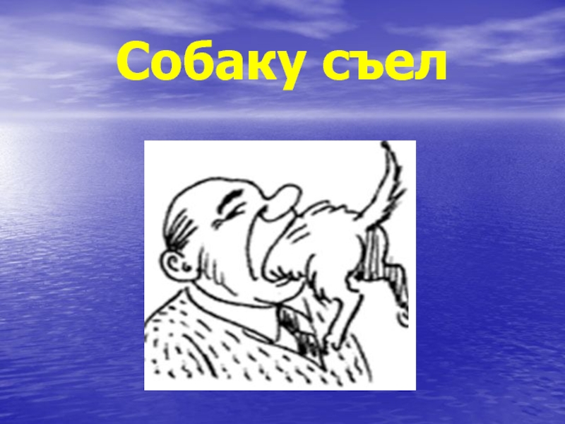 Съесть это значит. Собаку съел фразеологизм. Фрозиологизам собаку СКД. Собаку съел значение фразеологизма.