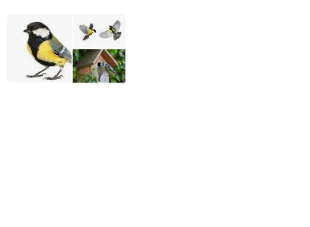 Что за небольшая лесная птица с яркой контрастной окраской оперения, включающей желтый цвет?