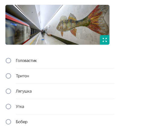 Кто, кроме рыб, «плавает» на станции «Нагатинский Затон»?